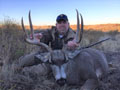 MGT Mule Deer