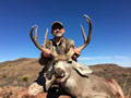 MGT Mule Deer