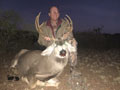 MGT Mule Deer