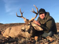 MGT Mule Deer