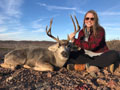 MGT Mule Deer