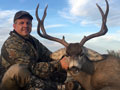 MGT Mule Deer