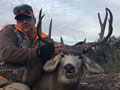 MGT Mule Deer