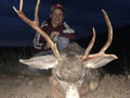 MGT Mule Deer