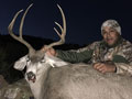 MGT Mule Deer