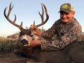 MGT Mule Deer