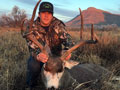 MGT Mule Deer