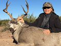 MGT Mule Deer