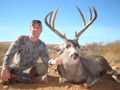 MGT Mule Deer