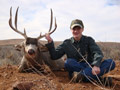 MGT Mule Deer