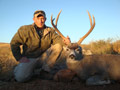 MGT Mule Deer