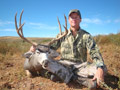 MGT Mule Deer