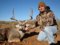 MGT Mule Deer