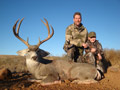 MGT Mule Deer