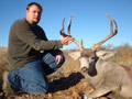 MGT Mule Deer