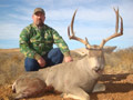 MGT Mule Deer