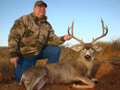 MGT Mule Deer