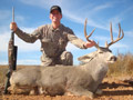 MGT Mule Deer