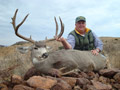 MGT Mule Deer