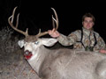 MGT Mule Deer