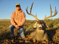 MGT Mule Deer