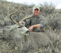 MGT Mule Deer