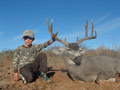 MGT Mule Deer