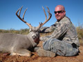 MGT Mule Deer