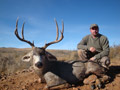 MGT Mule Deer