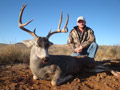 MGT Mule Deer