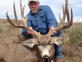 Mule Deer