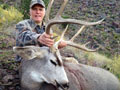 Mule Deer