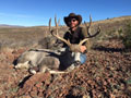 Mule Deer