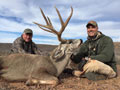 Mule Deer