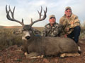 Mule Deer