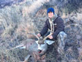 Mule Deer