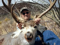 Mule Deer