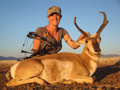 Pronghorn