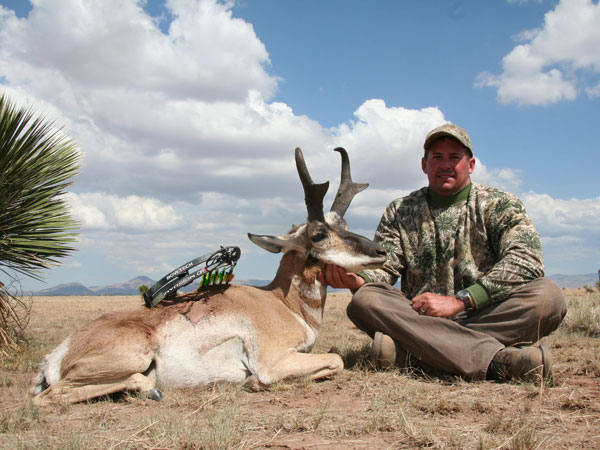 Pronghorn