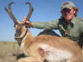 Pronghorn