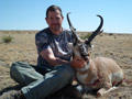 Pronghorn