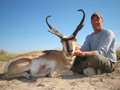 Pronghorn