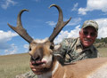 Pronghorn