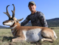 Pronghorn