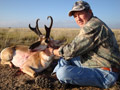 Pronghorn