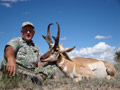 Pronghorn