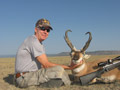 Pronghorn