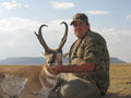 Pronghorn