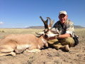 Pronghorn