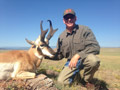 Pronghorn